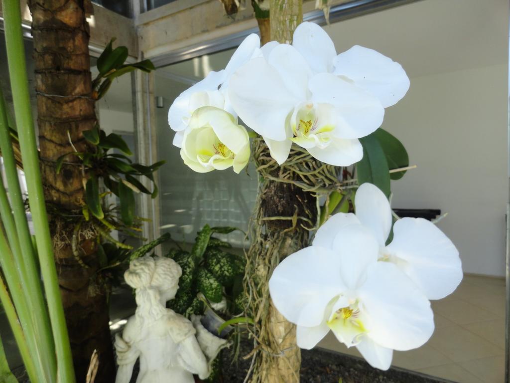 Pousada Orquideas Guaruja Bagian luar foto